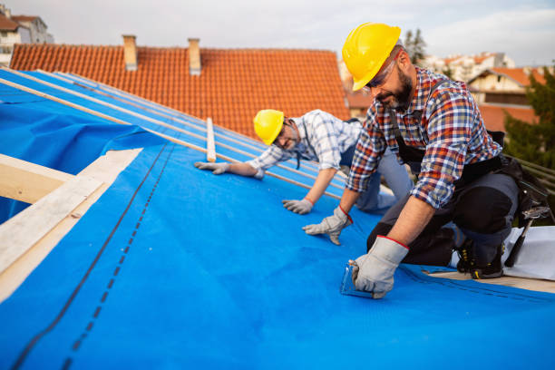 Best Green or Eco-Friendly Roofing Solutions  in Utica, MI