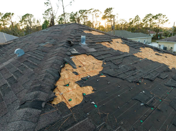 Best Steel Roofing  in Utica, MI