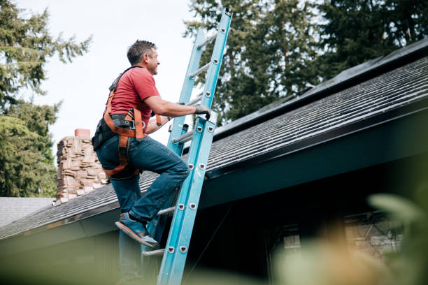 Best 4 Ply Roofing  in Utica, MI